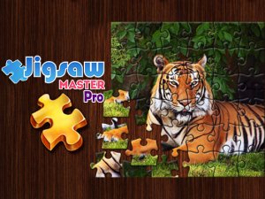 Jigsaw Master Pro Online Puzzle Game