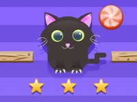 Cut For Cat Challenge Puzzle Game