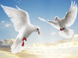 Flying Birds Slide Puzzle Game