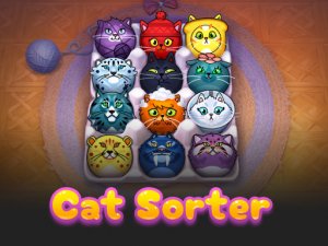 CatSorter Puzzle Online Game