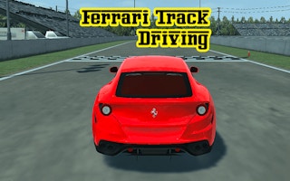 Ferrari Track Driving Simulator