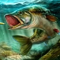 Real Fishing Simulator Online Game